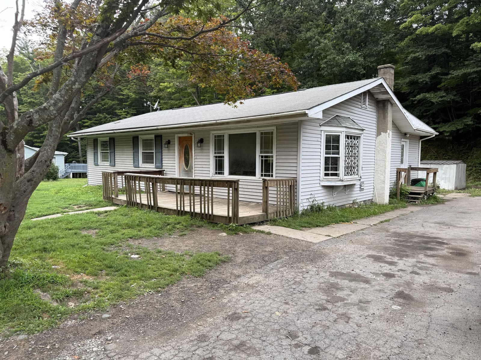 Front elevation and driveway