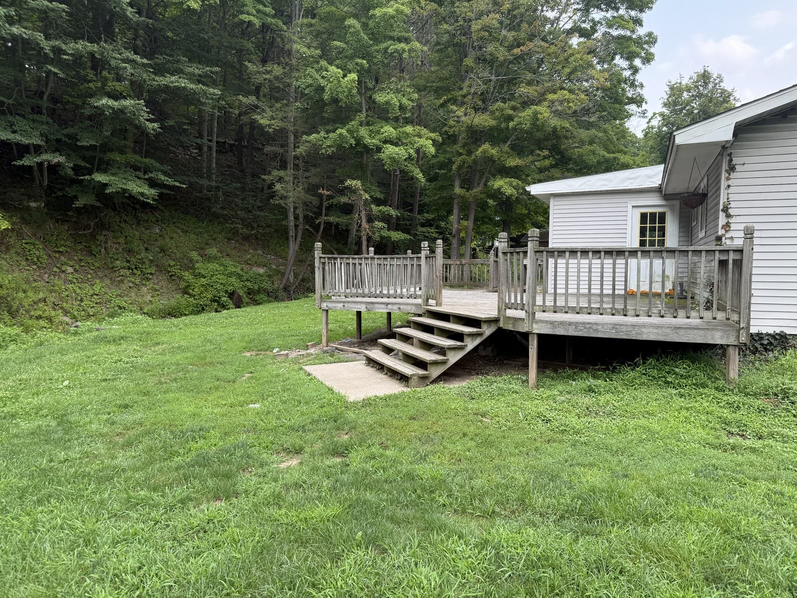 Rear deck and yard